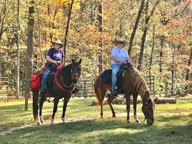 Local area attractions near Daily Walk Stables