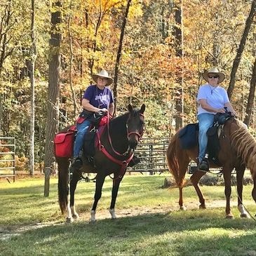 Campsite without horses