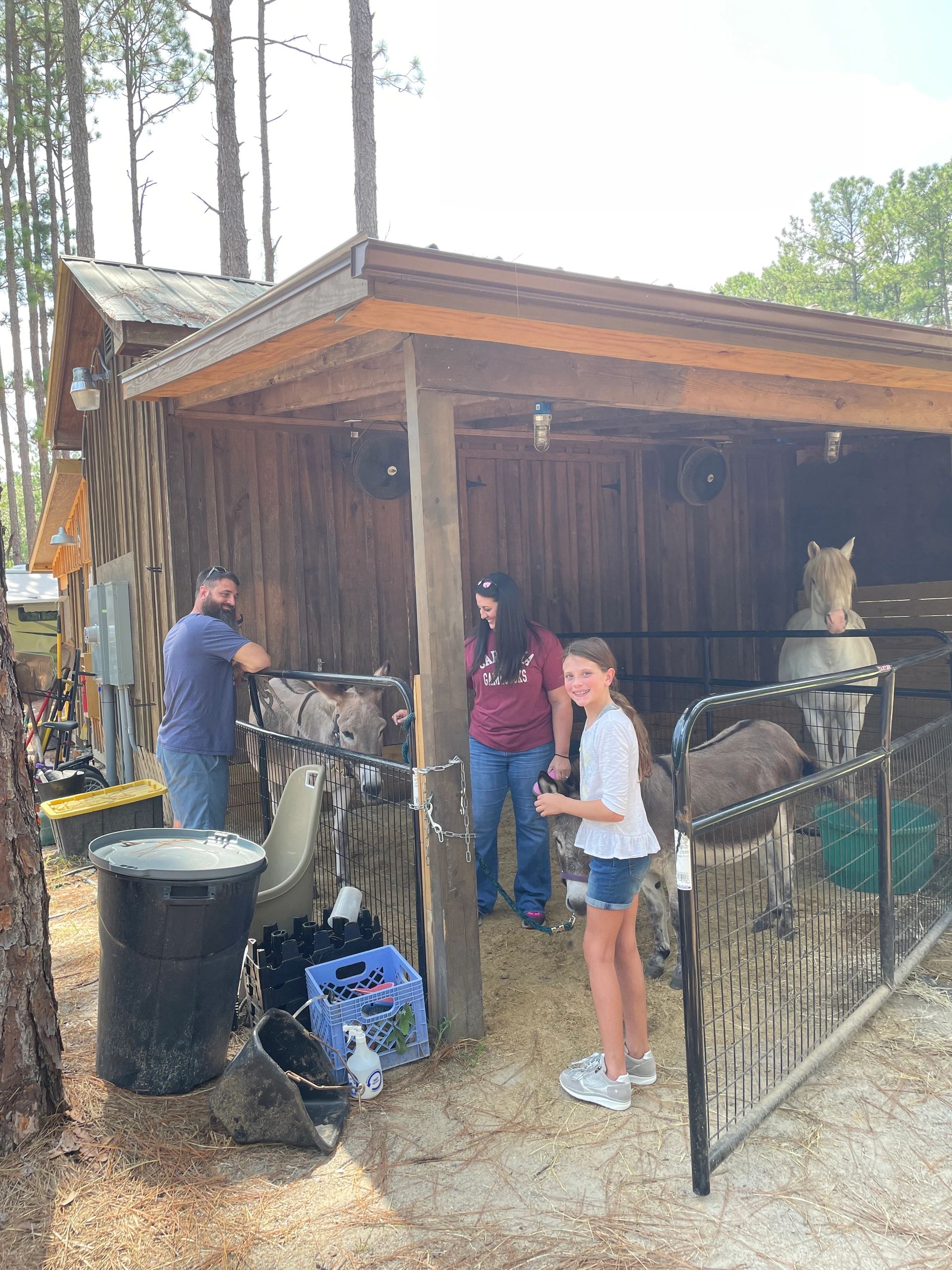 Family fun activities at the horse stable